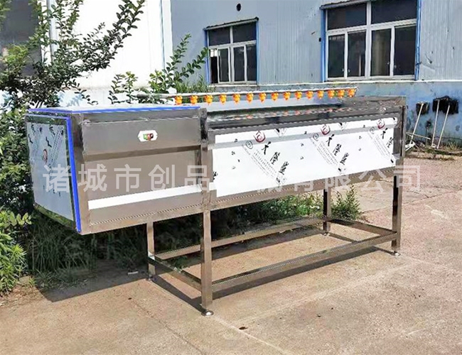 蓮藕清洗機(jī)